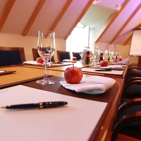Thermenhotel Viktoria 4* Bad Griesbach (Bavaria)