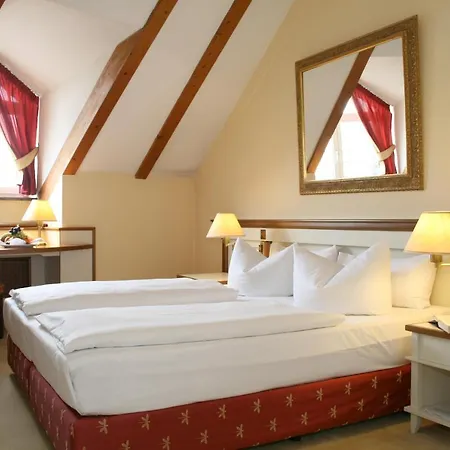 Thermenhotel Viktoria Ξενοδοχείο 4*